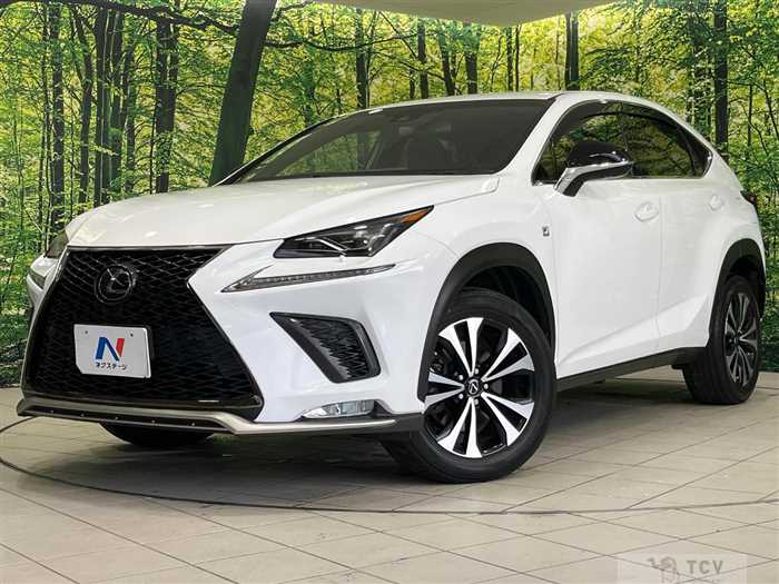 2018 Lexus NX