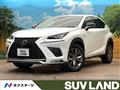 2019 Lexus NX
