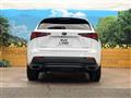 2019 Lexus NX