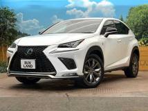 2019 Lexus NX