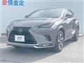 2020 Lexus NX