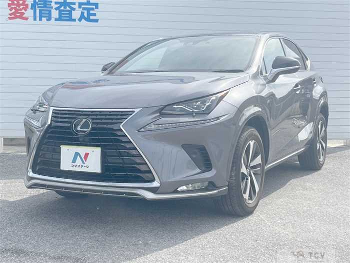 2020 Lexus NX