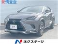 2020 Lexus NX