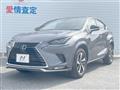 2020 Lexus NX