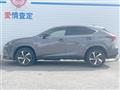 2020 Lexus NX