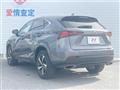 2020 Lexus NX