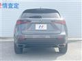 2020 Lexus NX