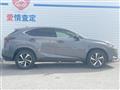 2020 Lexus NX