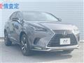 2020 Lexus NX