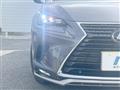 2020 Lexus NX