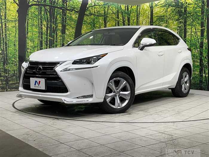 2015 Lexus NX