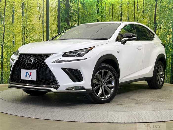 2019 Lexus NX