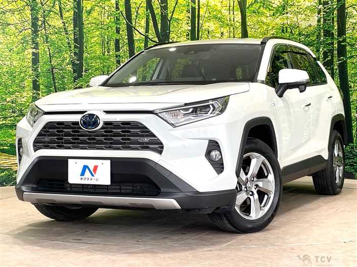 2019 Toyota RAV4
