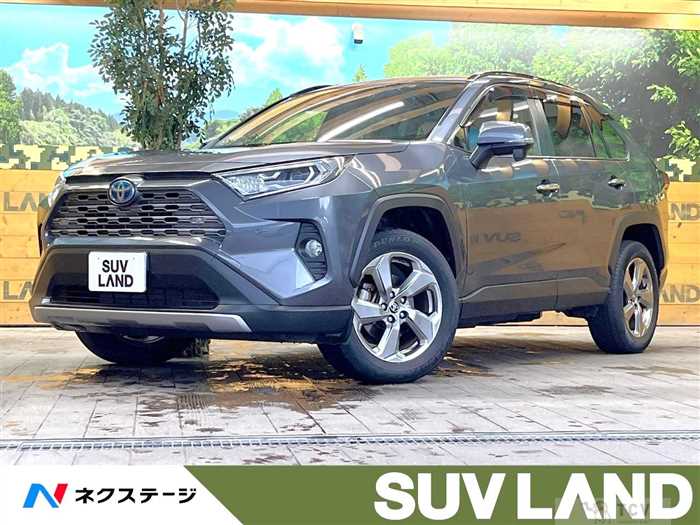 2020 Toyota RAV4