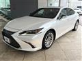 2019 Lexus ES