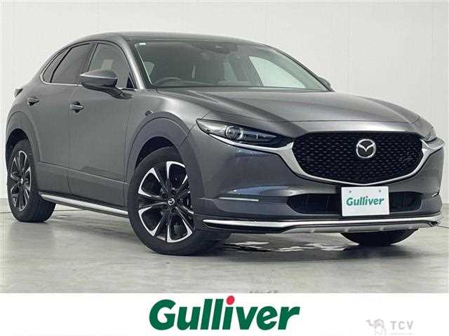 2021 Mazda CX-3