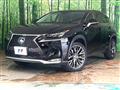 2014 Lexus NX