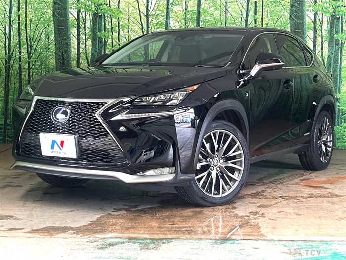 2014 Lexus NX