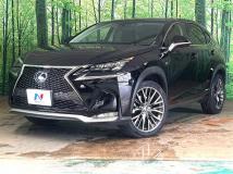 2014 Lexus NX