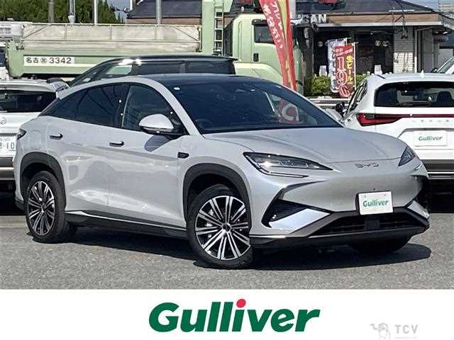2025 Byd Automobile Others
