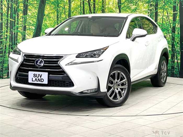 2016 Lexus NX