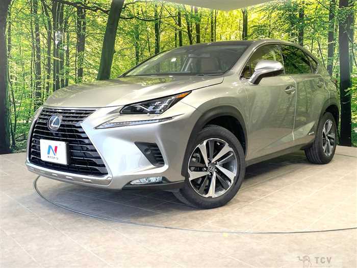 2017 Lexus NX