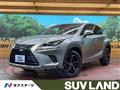2018 Lexus NX