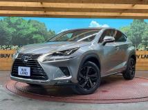 2018 Lexus NX