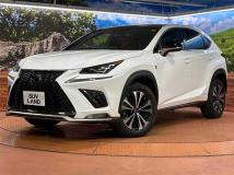 2018 Lexus NX