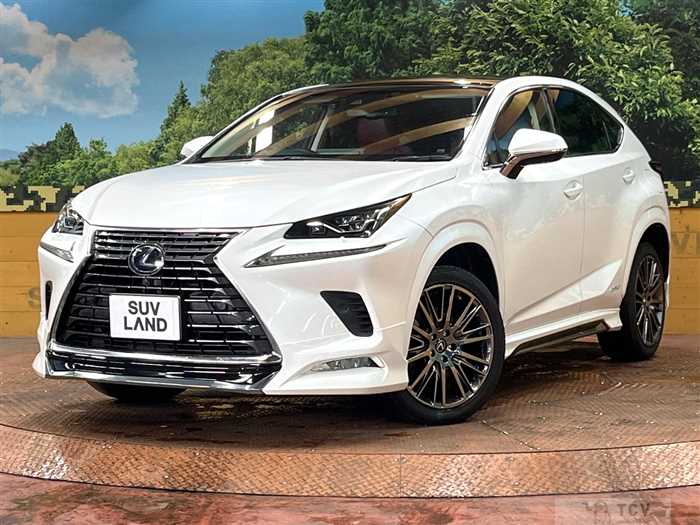 2019 Lexus NX