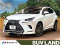 2019 Lexus NX