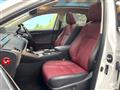 2019 Lexus NX