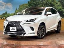 2019 Lexus NX