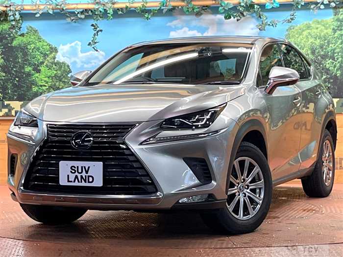 2019 Lexus NX
