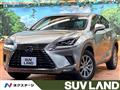 2019 Lexus NX