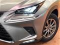 2019 Lexus NX