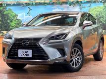 2019 Lexus NX