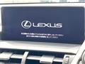 2019 Lexus NX