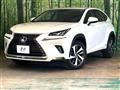 2019 Lexus NX