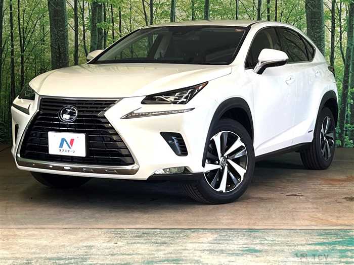 2019 Lexus NX