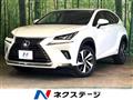 2019 Lexus NX