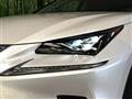2019 Lexus NX