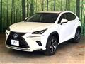 2019 Lexus NX