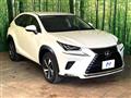 2019 Lexus NX