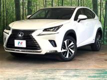2019 Lexus NX