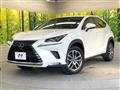 2020 Lexus NX