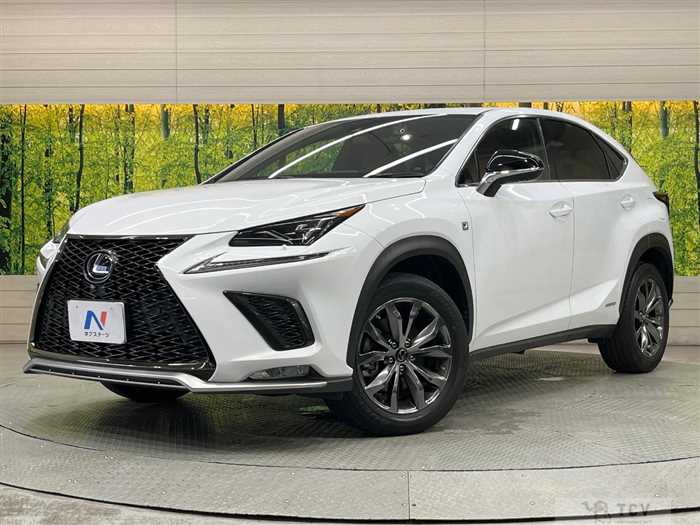 2020 Lexus NX