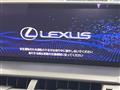 2020 Lexus NX