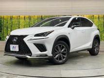 2020 Lexus NX