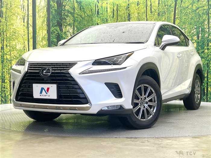 2020 Lexus NX